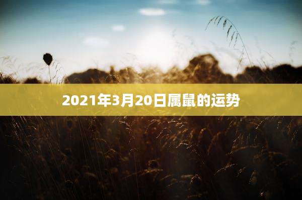 2021年3月20日属鼠的运势