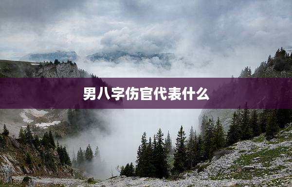 男八字伤官代表什么