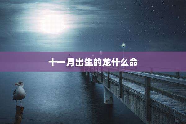十一月出生的龙什么命
