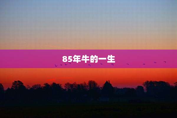 85年牛的一生