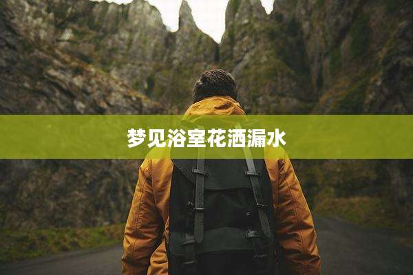 梦见浴室花洒漏水