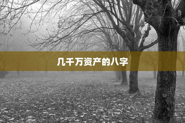 几千万资产的八字