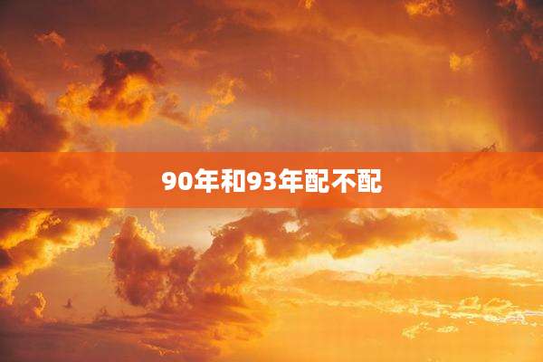 90年和93年配不配