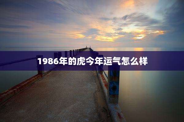1986年的虎今年运气怎么样