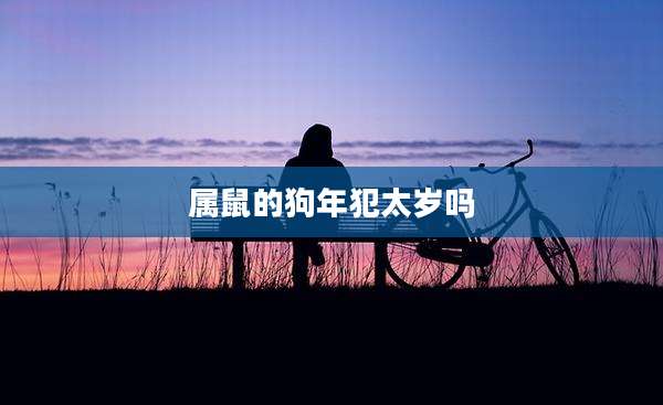 属鼠的狗年犯太岁吗