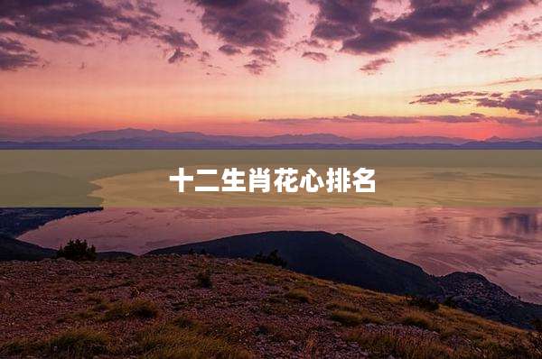 十二生肖花心排名