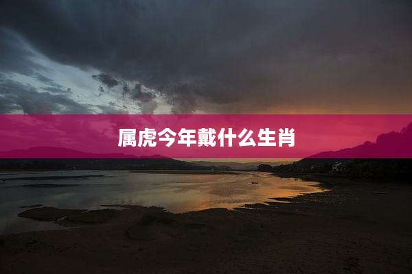 属虎今年戴什么生肖