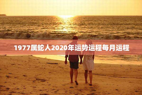 1977属蛇人2020年运势运程每月运程
