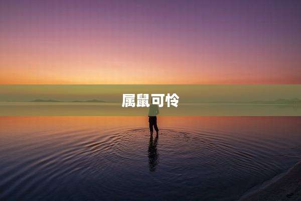 属鼠可怜