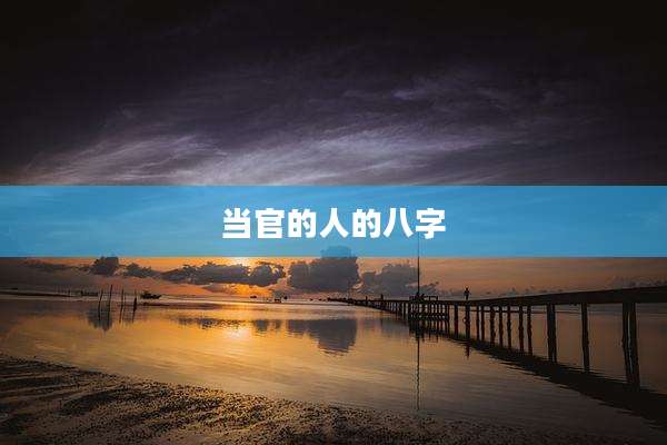 当官的人的八字