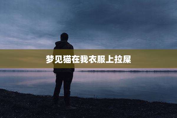 梦见猫在我衣服上拉屎