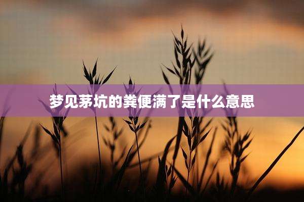 梦见茅坑的粪便满了是什么意思