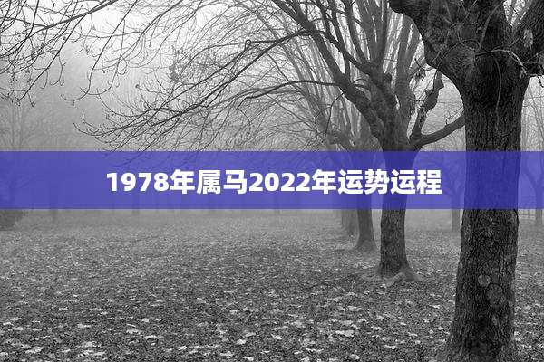 1978年属马2022年运势运程