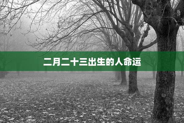 二月二十三出生的人命运