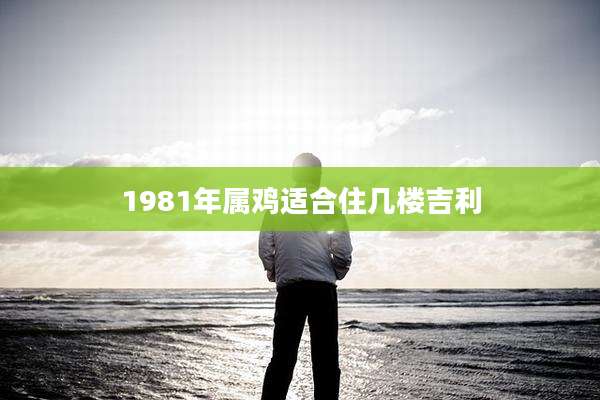 1981年属鸡适合住几楼吉利