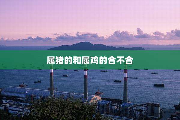 属猪的和属鸡的合不合