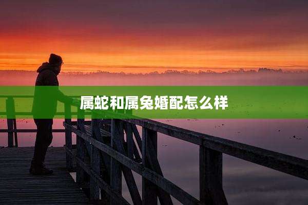 属蛇和属兔婚配怎么样