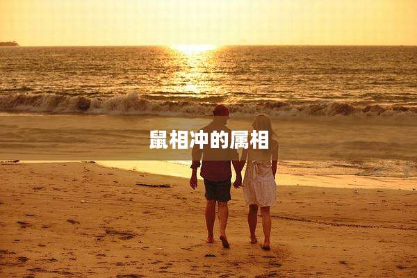 鼠相冲的属相