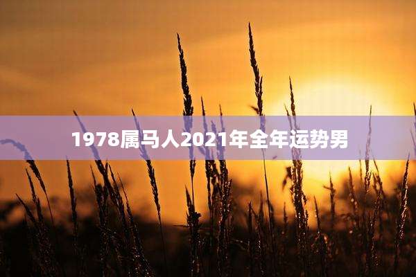 1978属马人2021年全年运势男