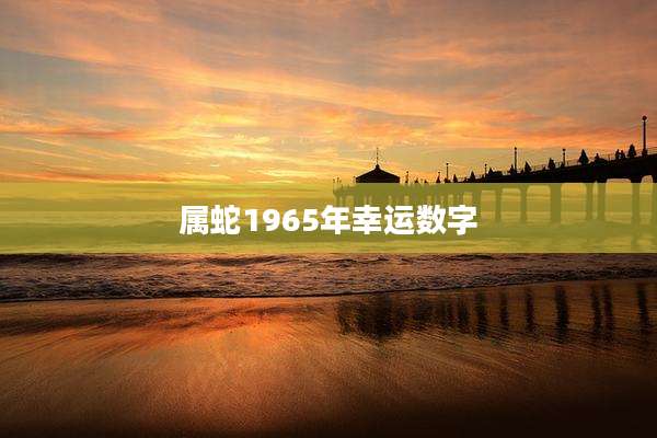 属蛇1965年幸运数字