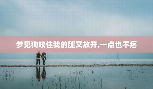 梦见狗咬住我的腿又放开,一点也不疼