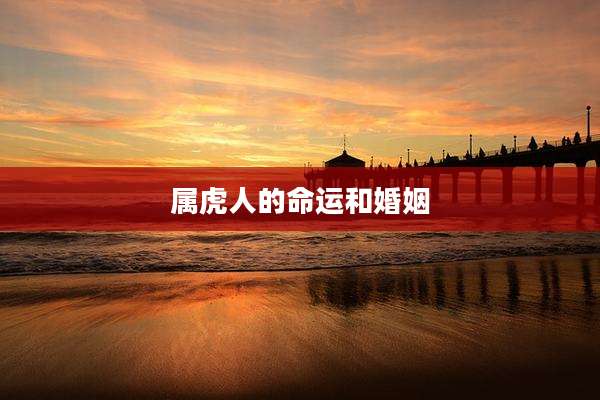 属虎人的命运和婚姻