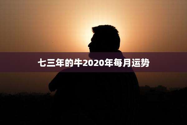 七三年的牛2020年每月运势
