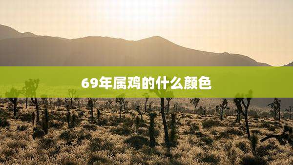 69年属鸡的什么颜色