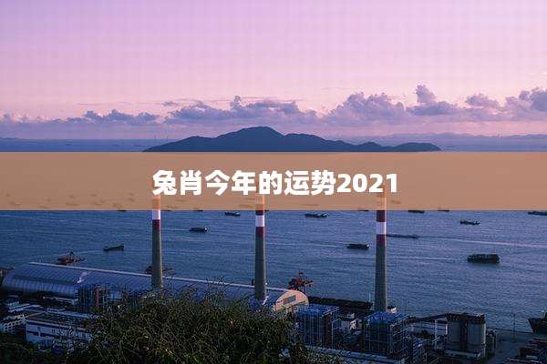 兔肖今年的运势2021