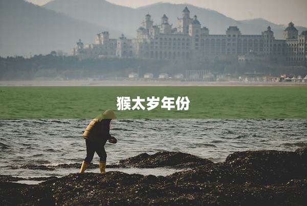 猴太岁年份