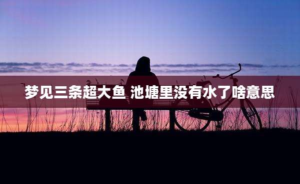 梦见三条超大鱼 池塘里没有水了啥意思