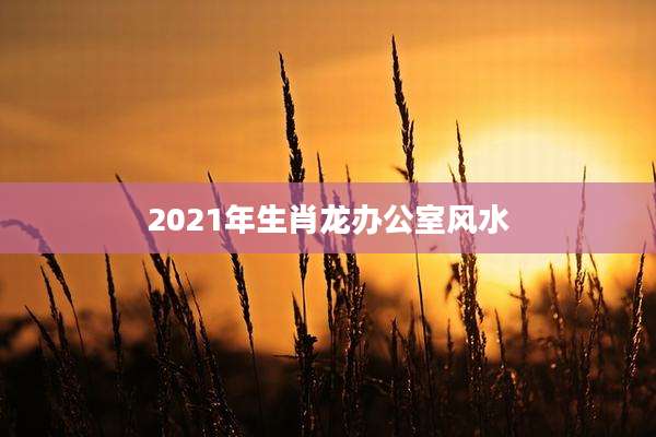 2021年生肖龙办公室风水