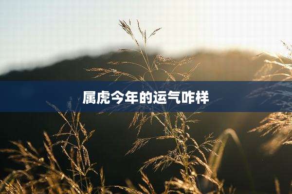属虎今年的运气咋样