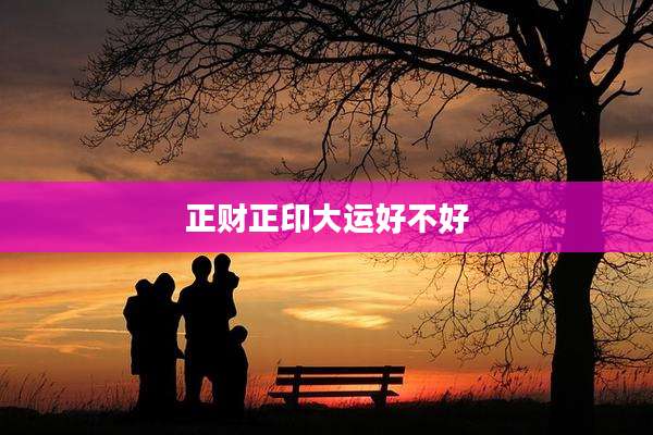 正财正印大运好不好