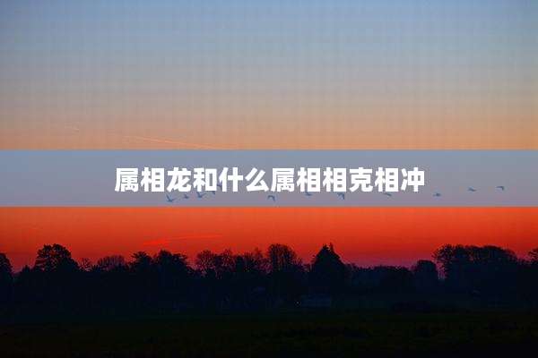 属相龙和什么属相相克相冲