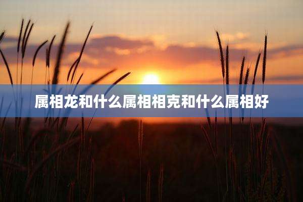 属相龙和什么属相相克和什么属相好