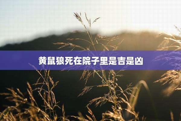 黄鼠狼死在院子里是吉是凶