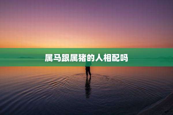 属马跟属猪的人相配吗