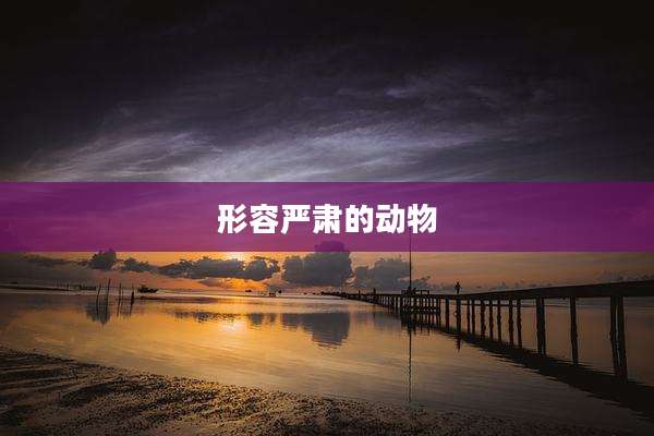 形容严肃的动物