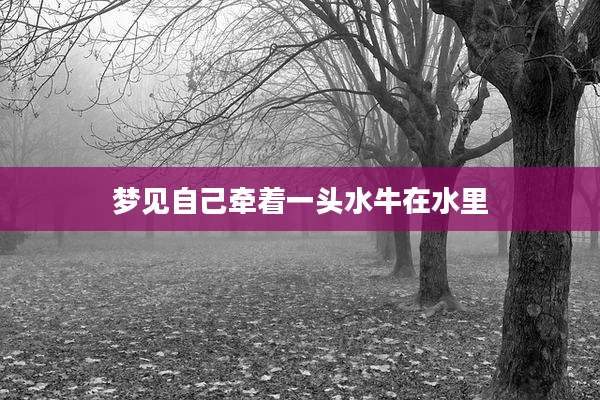 梦见自己牵着一头水牛在水里