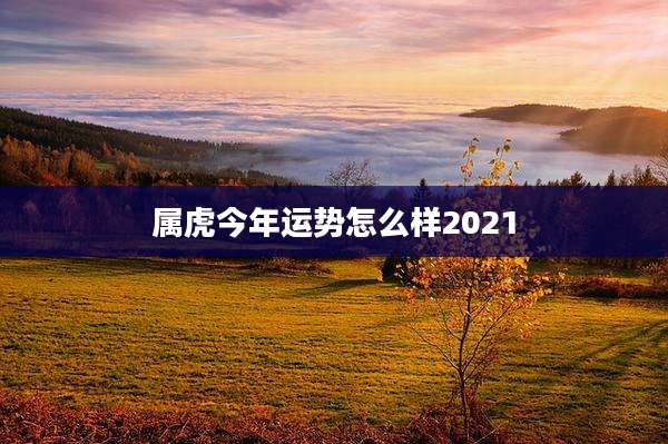 属虎今年运势怎么样2021