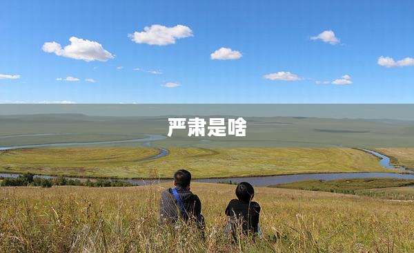 严肃是啥