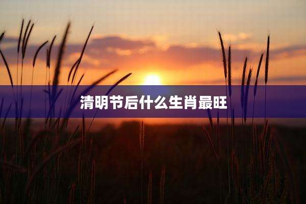 清明节后什么生肖最旺