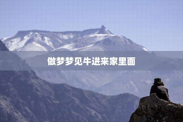 做梦梦见牛进来家里面
