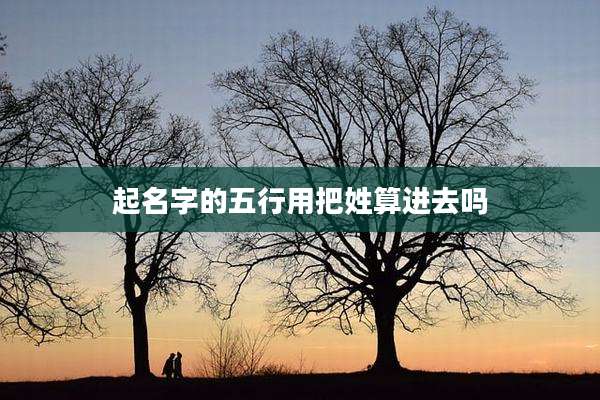 起名字的五行用把姓算进去吗