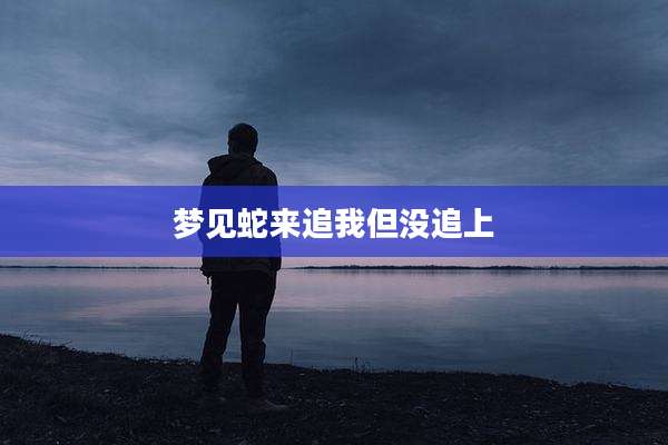 梦见蛇来追我但没追上