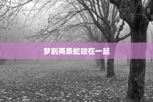 梦到两条蛇咬在一起