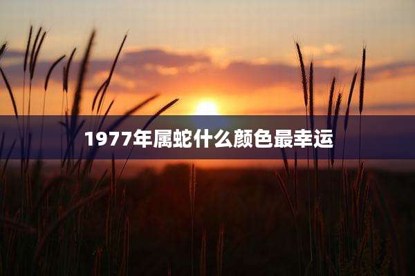 1977年属蛇什么颜色最幸运