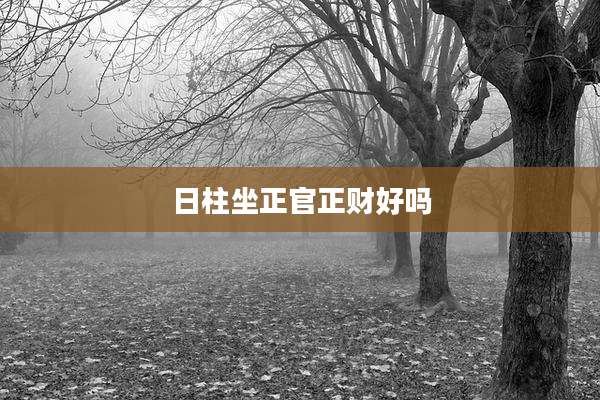 日柱坐正官正财好吗