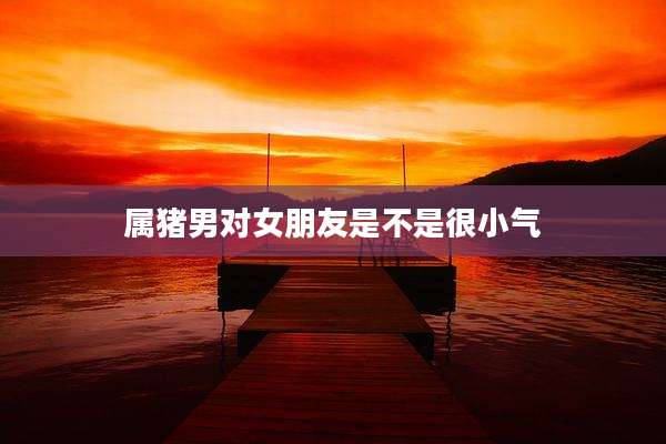 属猪男对女朋友是不是很小气